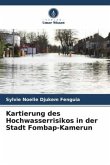 Kartierung des Hochwasserrisikos in der Stadt Fombap-Kamerun