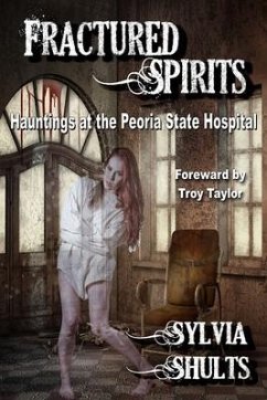 Fractured Spirits - Shults, Sylvia