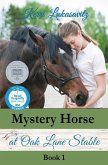 Mystery Horse at Oak Lane Stable