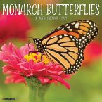 Monarch Butterflies 2024 12 X 12 Wall Calendar