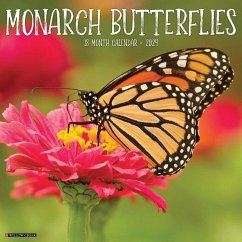 Monarch Butterflies 2024 12 X 12 Wall Calendar - Willow Creek Press