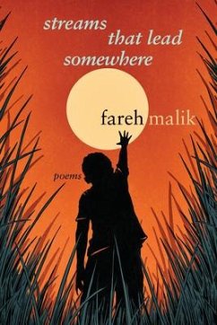 Streams That Lead Somewhere - Malik, Fareh
