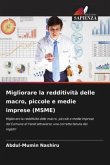 Migliorare la redditività delle macro, piccole e medie imprese (MSME)