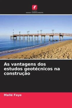 As vantagens dos estudos geotécnicos na construção - Faye, Mallé