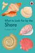 What to Look For by the Shore (eBook,... - Bild 1