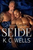 Seide (A Material World, #3) (eBook, ePUB)