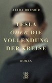 Tesla oder die Vollendung der Kreise (eBook, ePUB)