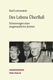 Des Lebens Überfluß (eBook, PDF)