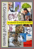 A Conspiracy of Events (eBook, ePUB)