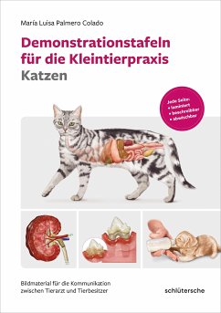 Demonstrationstafeln für die Kleintierpraxis Katzen (eBook, PDF) - Palmero Colado, María Luisa