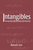 Intangibles (eBook, ePUB)