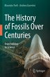 The History of Fossils Over Centuries - Bild 1