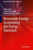Renewable Energy: Accelerating the Energy Transition