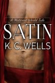 Satin (A Material World, #2) (eBook, ePUB)