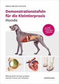 Demonstrationstafeln für die Kleintierpraxis Hunde (eBook, PDF)