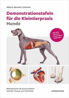 Demonstrationstafeln für die Kleintierpraxis Hunde (eBook, PDF) - Berneto Carmona, Alberto