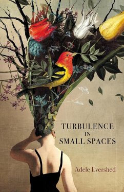 Turbulence in Small Spaces - Evershed, Adele