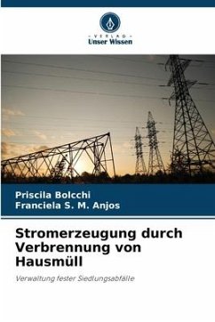 Stromerzeugung durch Verbrennung von Hausmüll - Bolcchi, Priscila;S. M. Anjos, Franciela