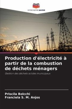 Production d'électricité à partir de la combustion de déchets ménagers - Bolcchi, Priscila;S. M. Anjos, Franciela