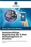 Reaktionsfähige Regulierung der E-Mail-Marketingpraxis in Brasilien
