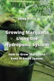 Growing Marijuana Using the Hydroponic System: How to Grow Marijuana Even in Small Spaces