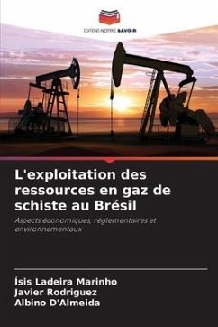 L'exploitation des ressources en gaz de schiste au Brésil - Ladeira Marinho, Ísis;Rodríguez, JAVIER;D'Almeida, Albino