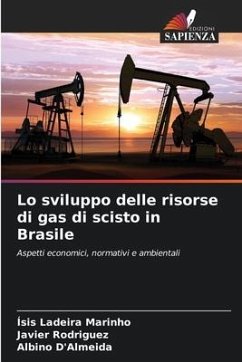 Lo sviluppo delle risorse di gas di scisto in Brasile - Ladeira Marinho, Ísis;Rodríguez, JAVIER;D'Almeida, Albino