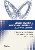 Métodos numéricos e computacionais na prática de engenharias e ciências (eBook, PDF)