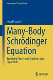 Many-Body Schrödinger Equation (eBook, PDF)