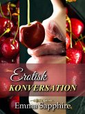 Erotisk Konversation (Park Avenue (Swedish), #1) (eBook, ePUB) Erotisk Konversation (Park Avenue (Swedish), #1) (eBook, ePUB)