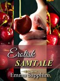 Erotisk Samtale (Park Avenue (Danish), #1) (eBook, ePUB)