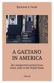 A Gaetano in America (eBook, ePUB)