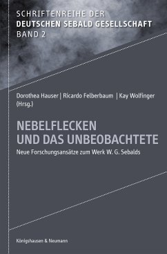 Nebelflecken und das Unbeobachtete (eBook, PDF)