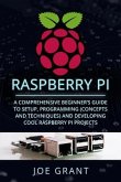 Raspberry Pi (eBook, ePUB)