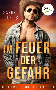 Im Feuer der Gefahr (eBook, ePUB) - Curtis, Sandy