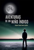 Aventuras de un niño índigo (eBook, ePUB)