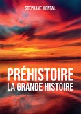 Préhistoire, la grande Histoire (eBook, ePUB)