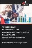 TECNOLOGIA DI OTTENIMENTO DEL CARBAMMATO DI CELLULOSA DALLE PIANTE