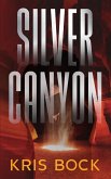 Silver Canyon: A Southwest Treasure Hunting Romantic Suspense (Southwest Treasure Hunters, #3) (eBook, ePUB)