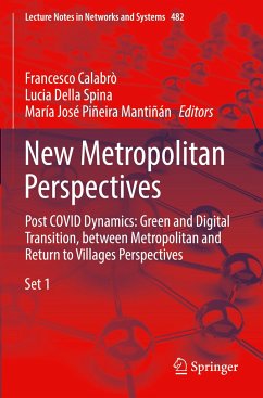 New Metropolitan Perspectives