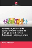 Proteção jurídica de grupos vulneráveis ao abrigo dos direitos humanos internacionais