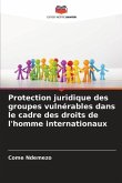 Protection juridique des groupes vulnérables dans le cadre des droits de l'homme internationaux