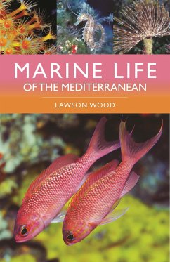 Marine Life of the Mediterranean - Wood, Lawson