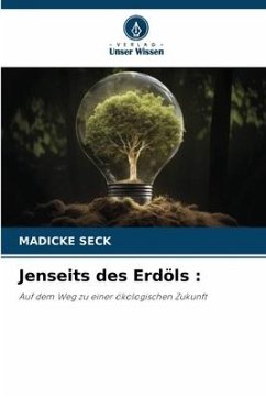 Cover Jenseits des Erdöls :
