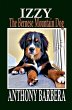 Izzy the Bernese Mountain Dog - Bild 1