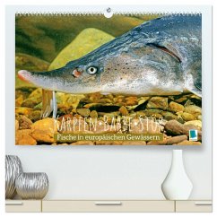 Karpfen, Barbe, Stör: Fische in europäischen Gewässern (hochwertiger Premium Wandkalender 2024 DIN A2 quer), Kunstdruck in Hochglanz - Calvendo