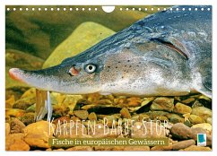 Karpfen, Barbe, Stör: Fische in europäischen Gewässern (Wandkalender 2024 DIN A4 quer), CALVENDO Monatskalender - Calvendo