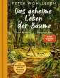 Das geheime Leben der Bäume - Bild 1