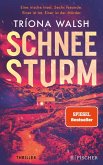 Schneesturm (eBook, ePUB)