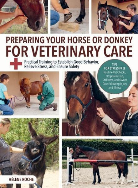 Preparing Your Horse or Donkey for Veterinary Care